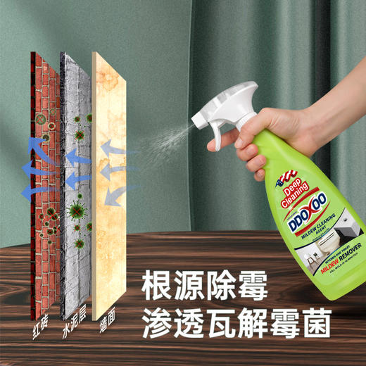 【DDOXXO 深层清洁除霉剂】一瓶600G，超大容量，除霉率＞99%，根源除霉，渗透瓦解霉菌，温和配方，墙体 木材 卫生间 厨房等都可使用 商品图4