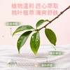 【GX】德佑桃叶款超厚80g手口湿巾10抽*10包/30包 商品缩略图3