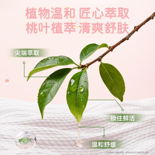 【GX】德佑桃叶款超厚80g手口湿巾10抽*10包/30包 商品图3