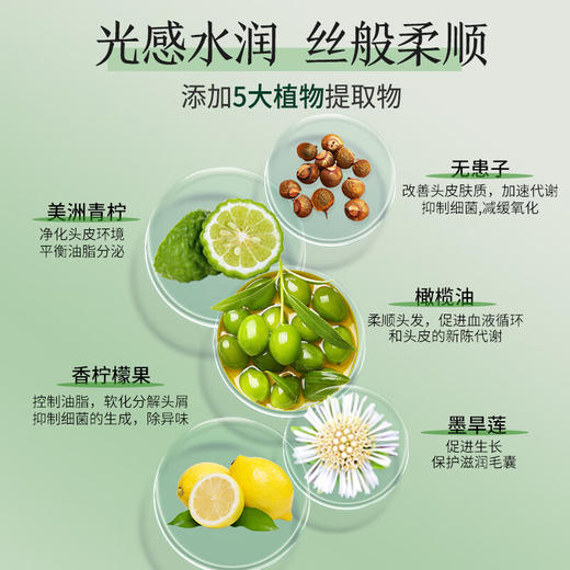 100年润发 羽感轻盈调理洗发露550ml*2瓶 N0SYY5502 商品图4