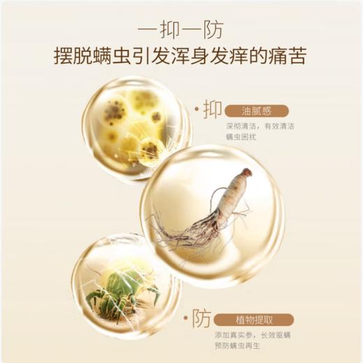 半亩花田 苦参净螨皂100g BMHT31 商品图2