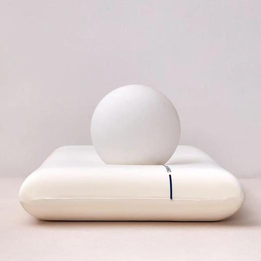 【清仓59元】青诗兰悦枕头护颈椎助睡眠慢回弹记忆枕 成人记忆棉枕芯 商品图0