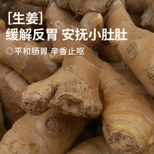 【3岁以上使用】真不二晕车贴2贴*4袋/盒*3盒装（缓解晕车、晕机、晕船，旅途轻松） 商品图3