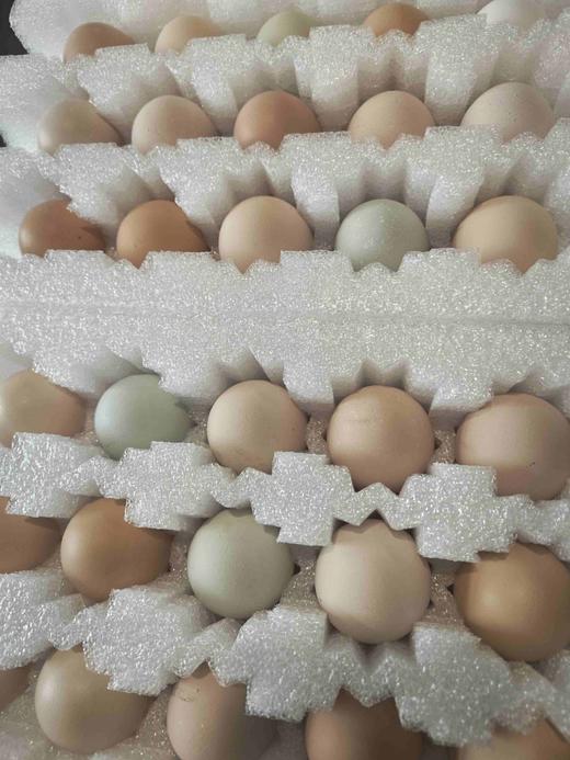 鸡蛋30枚包邮 商品图0