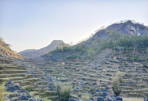 走读城市荒野系列 | 清明梅子坪古道徒步 商品图1