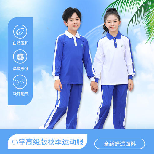 青之树【高级版】抑菌透气 抗皱不起球 深圳小学秋季运动服 【深圳市中小学校服供应商】 51深圳校服 商品图0