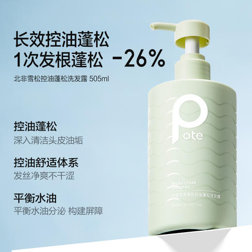 柏缇 北非雪松控油蓬松洗发露+海藻去屑止痒洗发露(瓶)505ml*2 4897054947193-2 商品图3