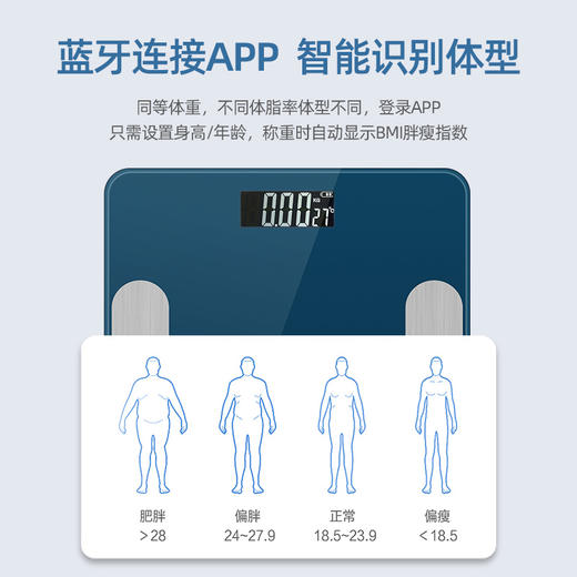 西屋 体脂秤 T201 商品图2