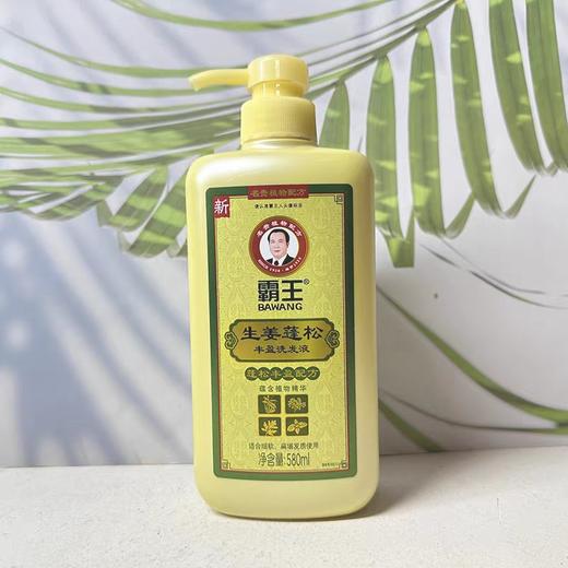 霸王生姜蓬松丰盈洗发水控油丰盈蓬松改善毛躁柔顺洗发露男女580ml 商品图2