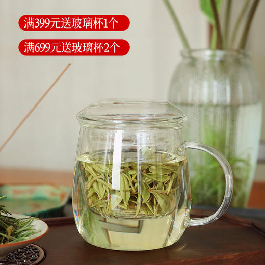 【满399送透明玻璃杯1个 满699送透明玻璃杯2个 满1299送茶杯1对+盖碗 满2599送茶杯2对+盖碗+公道杯 】【2026年新茶 预定】【板娘家乡特产 安吉白茶 】 玉螺/玉泉 茶叶~ 湖州仓 商品图1