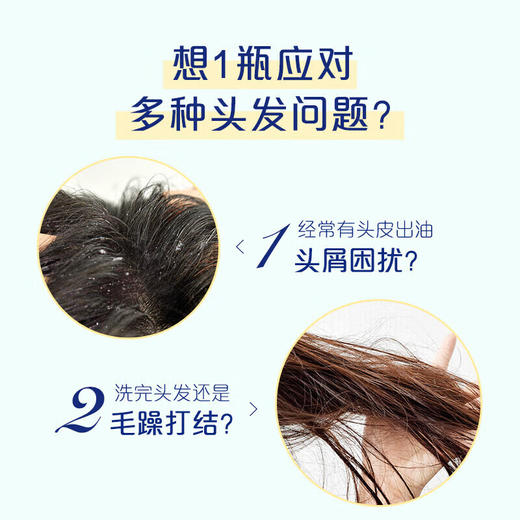 飘柔 家庭护理杏仁长效柔顺滋养洗发露170g*1瓶 pg-1pcxrs 商品图4