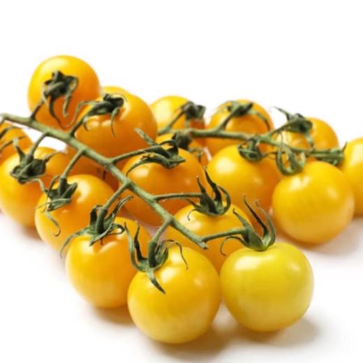黄串番茄（约500G） 份/份 商品图0