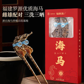 福东海 海马6克  一公一母海马干煲汤泡酒药材料