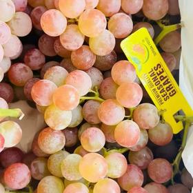 【BF】荔枝香葡萄500g