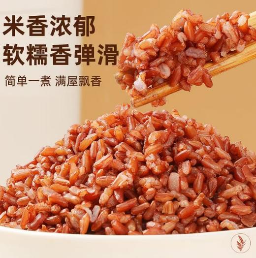 农家新红米 商品图0