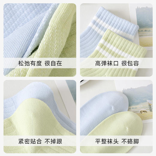 女士网眼透气短筒袜 商品图4