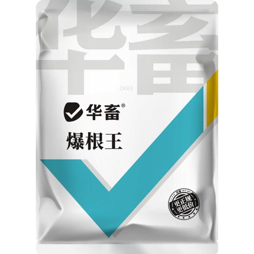 华畜爆根王壮根肥水草生根保草促长改底改善水质长根宝水草生根粉 商品图5