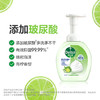 滴露 泡沫洗手液西柚+青柠250ml*4 6974352530857 商品缩略图3