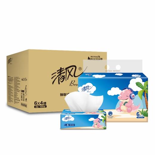 清风 天然无香抽纸3层100抽6包*4提(共24包) BR0C6B-4TS 商品图0