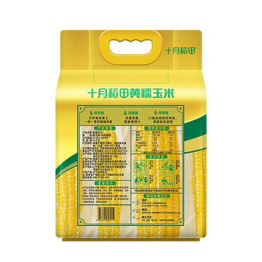 【香甜糯】东北糯玉米棒 |东北粘苞米|可拉丝真空 "1.新玉米！黄糯1.76kg220g*8根 2.新玉米！白糯玉米2.08kg260g*8根" 商品图2