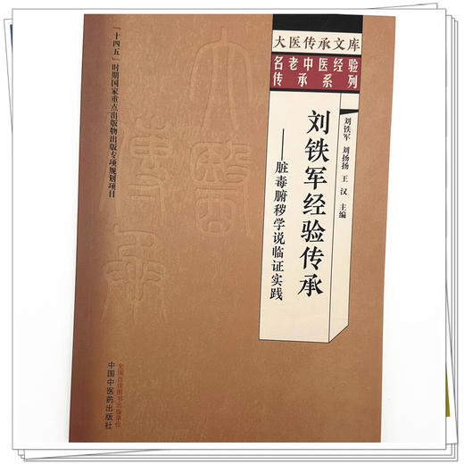 刘铁军经验传承:脏毒腑秽学说临证实践 刘铁军 刘扬扬 王汉 主编 大医传承文库:名老中医经验传承系列 中国中医药出版社 商品图3