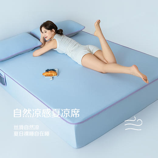 2026新款凉感夏凉席 裸感丝滑自然凉 商品图0