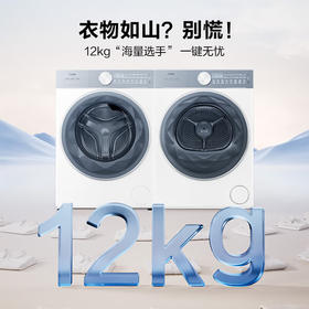 海尔（Haier）云溪55系列 大容量洗烘套装12KG滚筒洗衣机+热泵烘干机双擎XQG120-LE55DWU1+12kg55DW