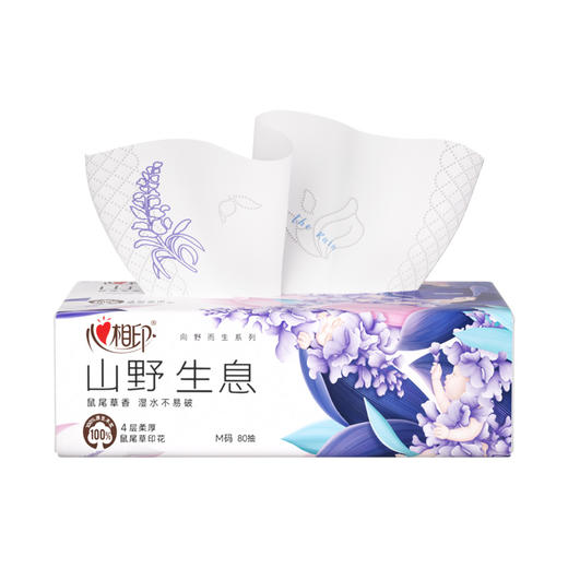 心相印 向野而生80抽18包四层塑装面巾纸（鼠尾草印花）M码 A0001918 商品图4