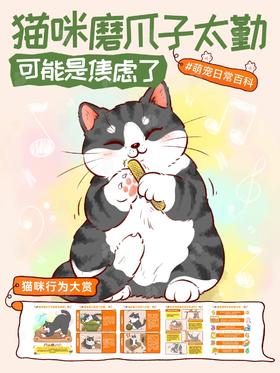 🐱猫咪磨爪子太勤⚠️可能是焦虑了‼️