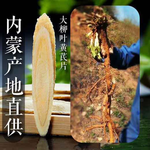 神农金康有机黄芪柳叶大片250g 搭配 煲汤泡水喝 商品图2