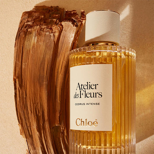 Chloe蔻依深林雪松浓香水150ml 商品图3