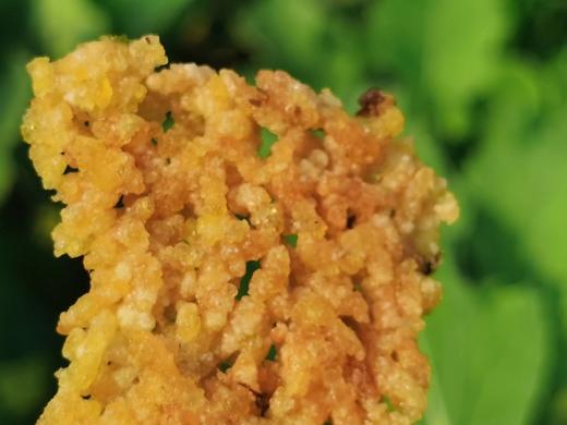 合作产品/淮扬菜饭锅巴（预售后统一制作，现做现发，4月3日或4日发货） 商品图1