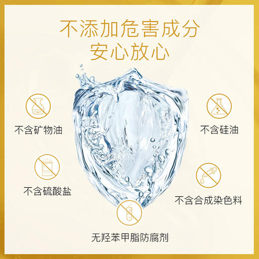 蓬派 氨基酸白泥强健发根生姜洗发水450ml*1 PP1006 商品图2