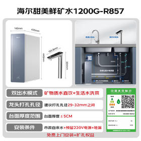海尔（Haier）家用净水器 矿物质水直饮一体机甜美鲜矿水1200G 8年长效RO厨房专用台下用净水机RO反渗透星河R857 1200G甜美鲜矿水净水器【8年真长效ro膜】