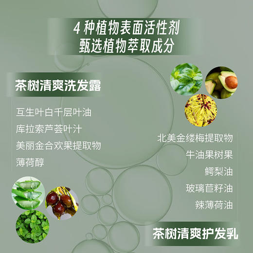 天然之扉 茶树清爽护发素532ml 78347023068 商品图2