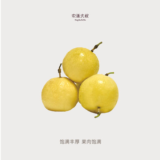 【豆豆LAB】钦蜜9号黄金百香果  酸甜可口  24枚礼盒装 商品图4