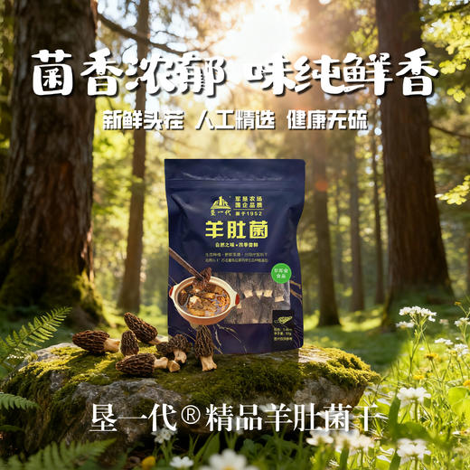 【江苏农垦】垦一代丨羊肚菌干（5-8cm） 50g*2袋 商品图0