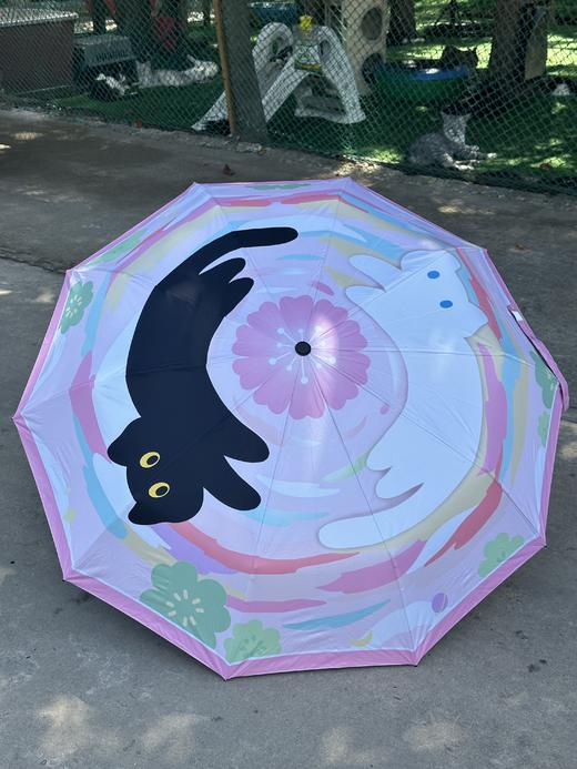 猫猫们的保护伞 商品图1
