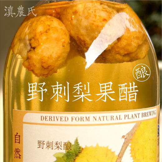 滇农氏 云南手工酿养生花果醋 252ml*9瓶礼盒装 商品图1