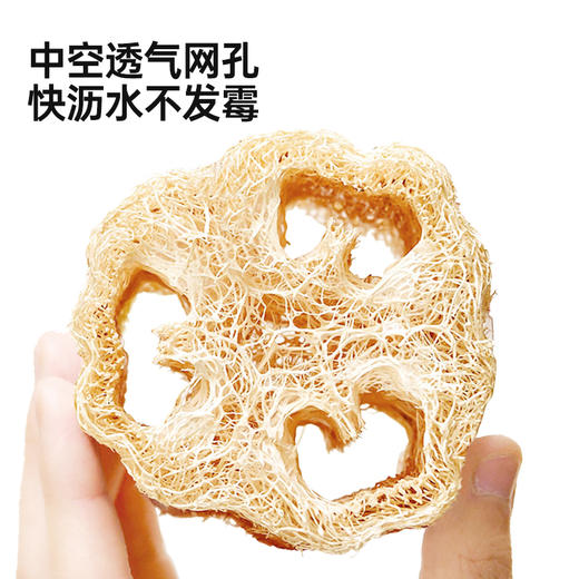 【挂绳丝瓜络】  厨房天然清洁神器 不伤锅不伤手 多孔结构透气 不易发霉 商品图5
