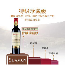 圣芝（suamgy）G320特级珍藏赤霞珠干红葡萄酒750ml*2支礼盒装节日礼品 进口红酒