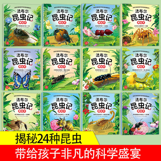 《法布尔昆虫记美绘本》全12册 商品图1
