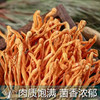 虫草花 商品缩略图2