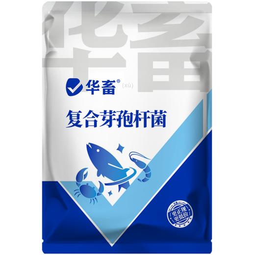 华畜复合芽孢杆菌500g  免红糖复合菌种净水调水 水产专用 商品图7