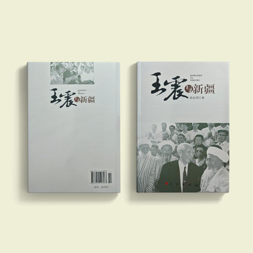 《王震与新疆》 商品图11