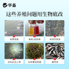 华畜生物底改双效改底王鱼虾蟹塘解毒调水增氧除臭水产养殖净水宝 商品缩略图1