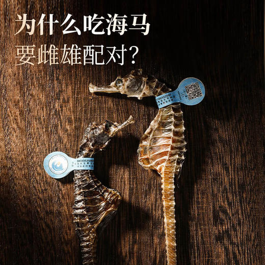 福东海 海马6克  一公一母海马干煲汤泡酒药材料 商品图3