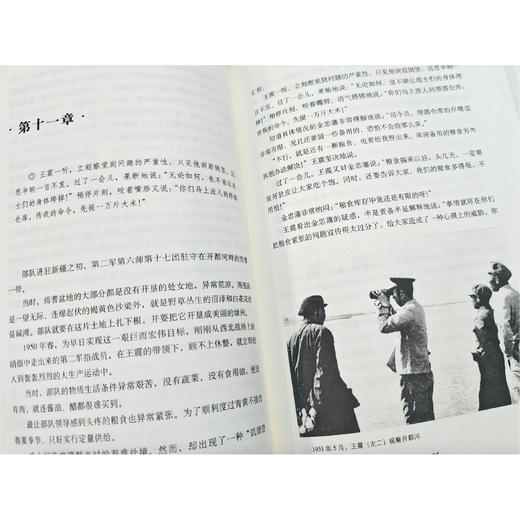《王震与新疆》 商品图6