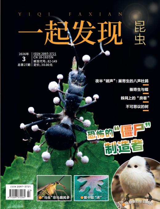 2026年《一起发现》全年订阅和单期购买 商品图3