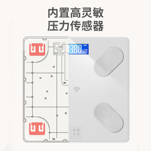 美穗吉家 蓝牙体脂秤USB充电款 TS-C67 商品图4
